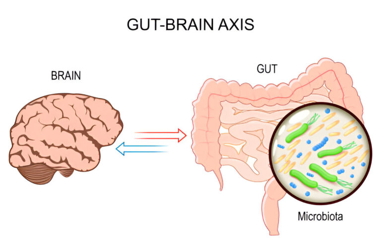 The Gut-Brain Axis: Why Your Gut Controls Your Mood